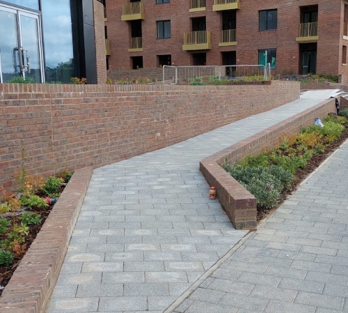 Chatham1_CROP.jpg Chatham1_CROP.jpg