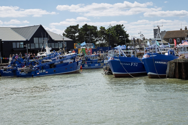 HarbourDay_25_-96 (1).jpg