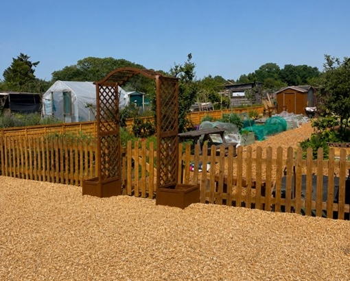 IpswichAllotment_210526_8.jpg