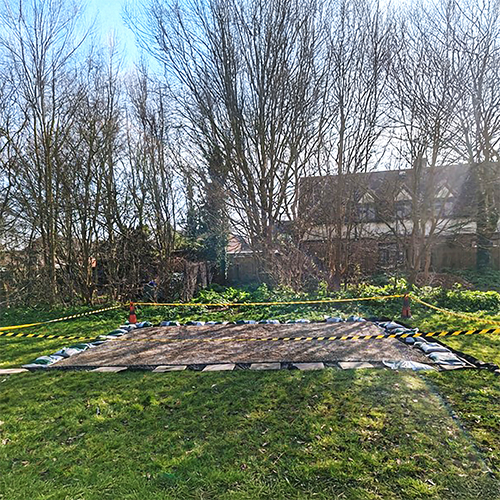 Peashingle 3 edit 500x500[76].jpg